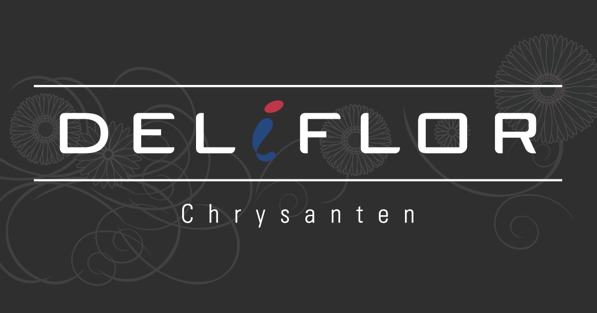 超々激レア松山 00 レモンヘッド 67585 | line up 品種ラインナップ | Deliflor Japan デリ